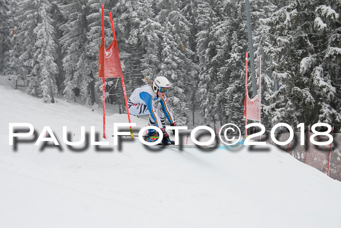 Int. FIS Rennen + NJC Damen, SG, Götschen, 22.02.2018