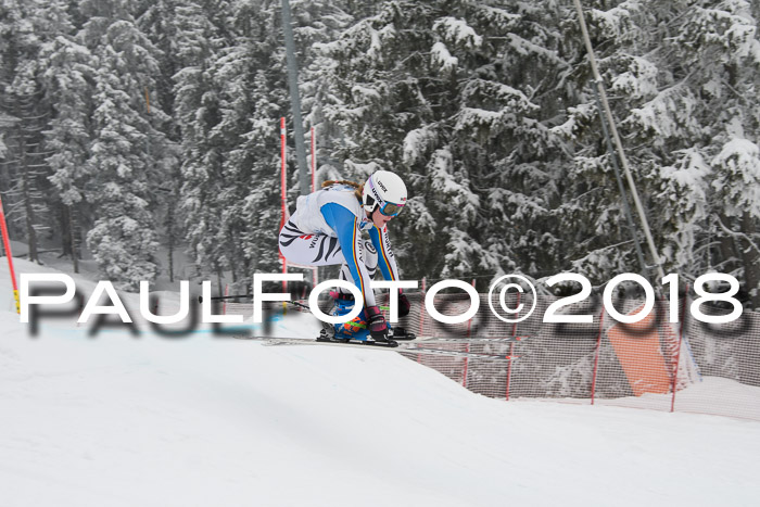 Int. FIS Rennen + NJC Damen, SG, Götschen, 22.02.2018