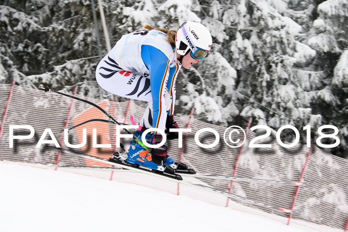 Int. FIS Rennen + NJC Damen, SG, Götschen, 22.02.2018