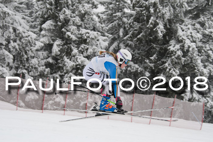 Int. FIS Rennen + NJC Damen, SG, Götschen, 22.02.2018