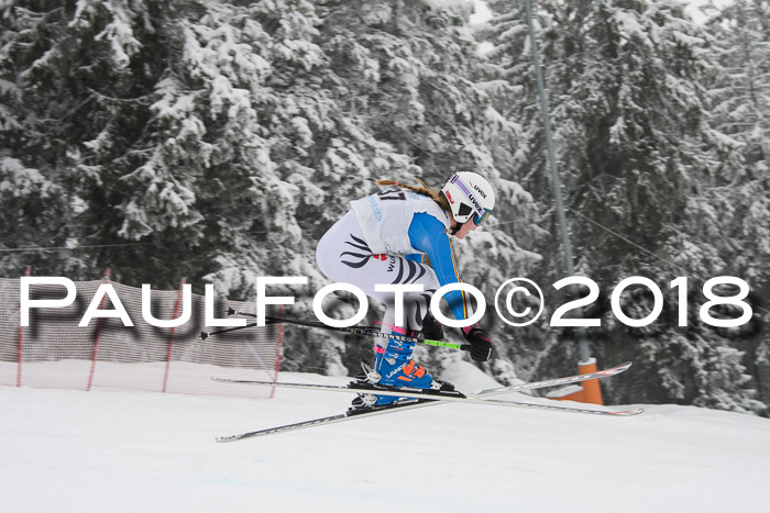Int. FIS Rennen + NJC Damen, SG, Götschen, 22.02.2018