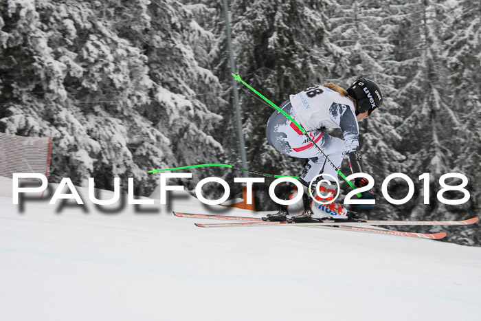Int. FIS Rennen + NJC Damen, SG, Götschen, 22.02.2018
