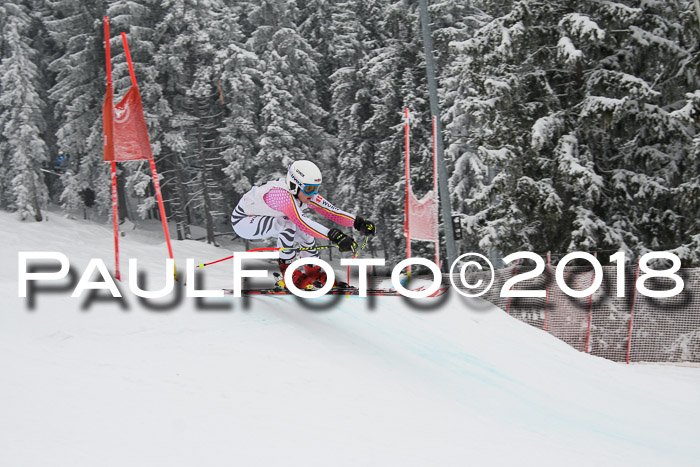 Int. FIS Rennen + NJC Damen, SG, Götschen, 22.02.2018