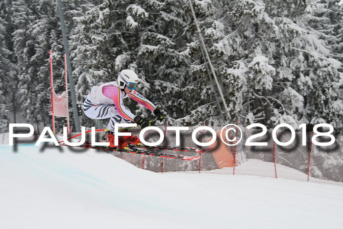 Int. FIS Rennen + NJC Damen, SG, Götschen, 22.02.2018