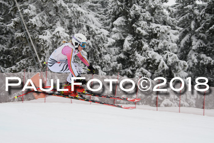 Int. FIS Rennen + NJC Damen, SG, Götschen, 22.02.2018