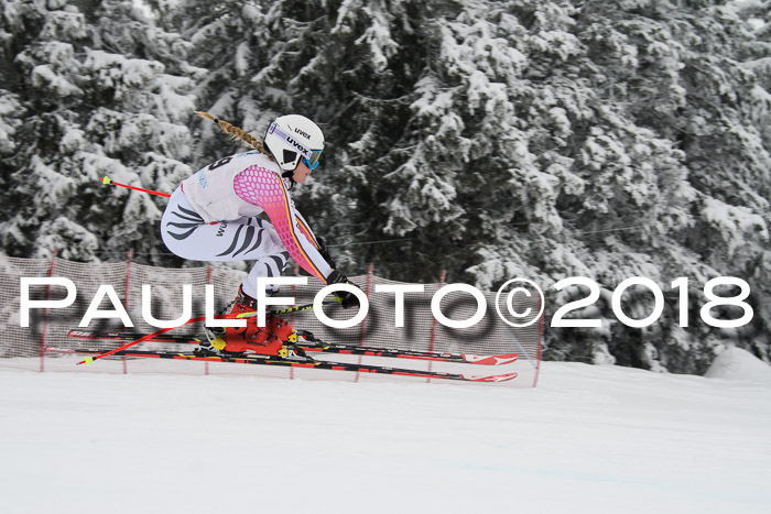 Int. FIS Rennen + NJC Damen, SG, Götschen, 22.02.2018