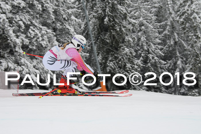 Int. FIS Rennen + NJC Damen, SG, Götschen, 22.02.2018