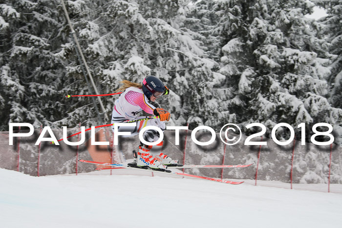 Int. FIS Rennen + NJC Damen, SG, Götschen, 22.02.2018