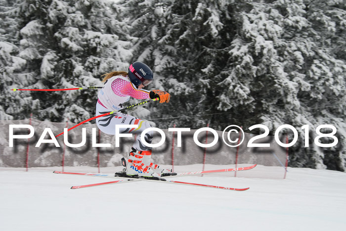 Int. FIS Rennen + NJC Damen, SG, Götschen, 22.02.2018