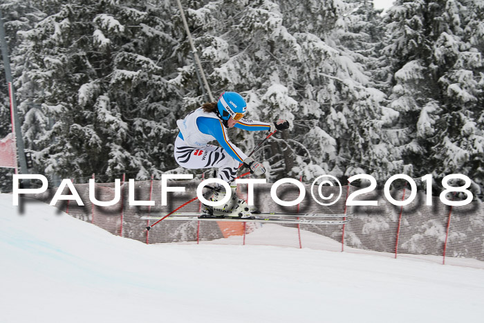 Int. FIS Rennen + NJC Damen, SG, Götschen, 22.02.2018