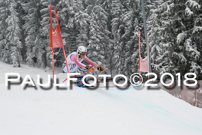 Int. FIS Rennen + NJC Damen, SG, Götschen, 22.02.2018
