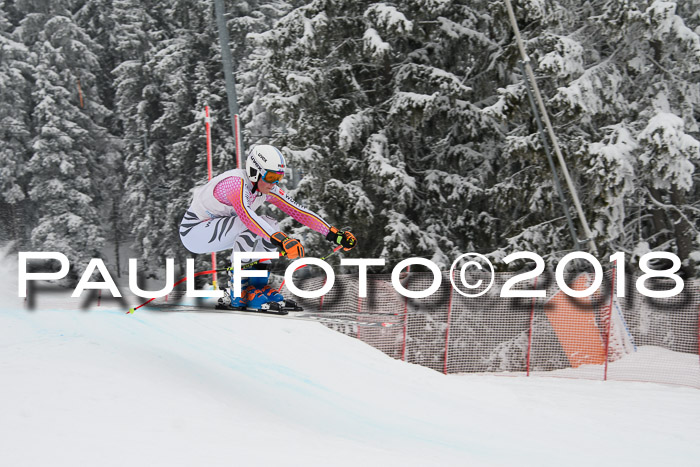 Int. FIS Rennen + NJC Damen, SG, Götschen, 22.02.2018