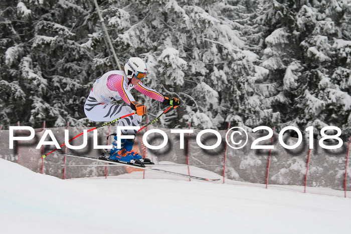 Int. FIS Rennen + NJC Damen, SG, Götschen, 22.02.2018