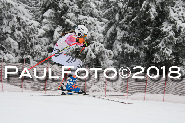 Int. FIS Rennen + NJC Damen, SG, Götschen, 22.02.2018