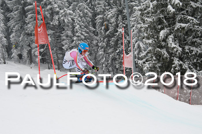 Int. FIS Rennen + NJC Damen, SG, Götschen, 22.02.2018