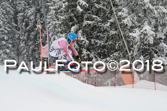 Int. FIS Rennen + NJC Damen, SG, Götschen, 22.02.2018