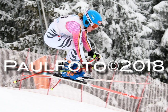 Int. FIS Rennen + NJC Damen, SG, Götschen, 22.02.2018