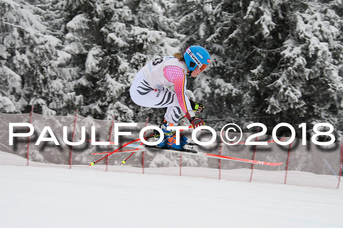 Int. FIS Rennen + NJC Damen, SG, Götschen, 22.02.2018