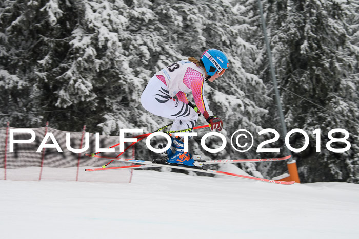 Int. FIS Rennen + NJC Damen, SG, Götschen, 22.02.2018