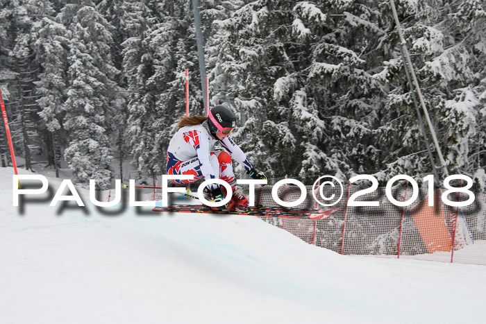 Int. FIS Rennen + NJC Damen, SG, Götschen, 22.02.2018