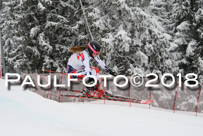 Int. FIS Rennen + NJC Damen, SG, Götschen, 22.02.2018