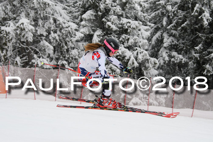 Int. FIS Rennen + NJC Damen, SG, Götschen, 22.02.2018
