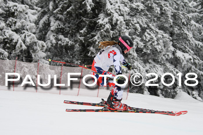 Int. FIS Rennen + NJC Damen, SG, Götschen, 22.02.2018