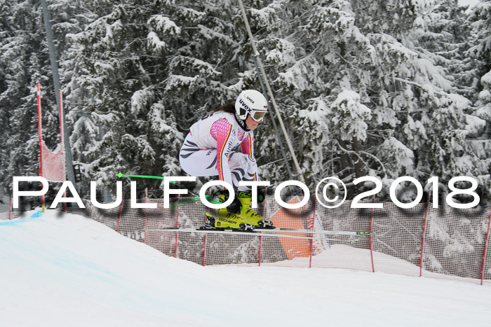 Int. FIS Rennen + NJC Damen, SG, Götschen, 22.02.2018