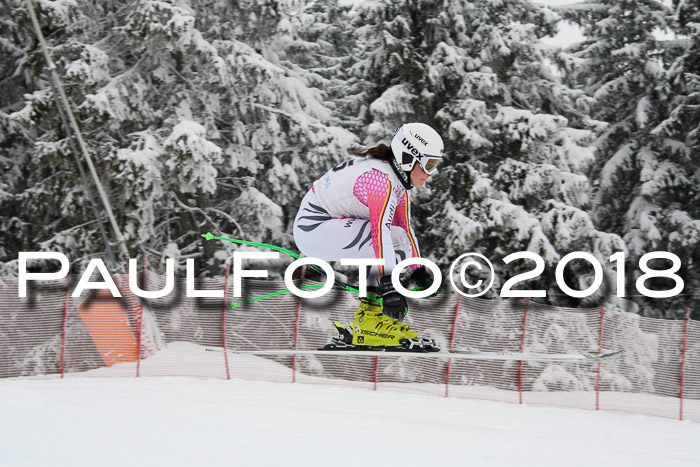 Int. FIS Rennen + NJC Damen, SG, Götschen, 22.02.2018