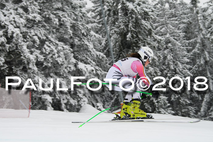 Int. FIS Rennen + NJC Damen, SG, Götschen, 22.02.2018
