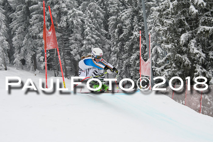 Int. FIS Rennen + NJC Damen, SG, Götschen, 22.02.2018