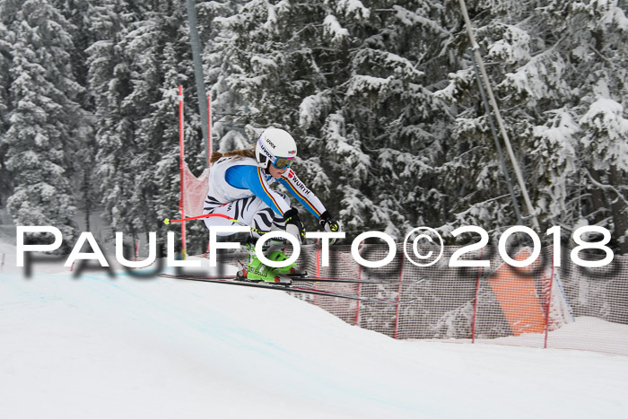 Int. FIS Rennen + NJC Damen, SG, Götschen, 22.02.2018