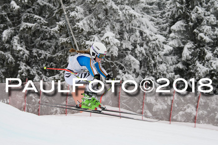 Int. FIS Rennen + NJC Damen, SG, Götschen, 22.02.2018