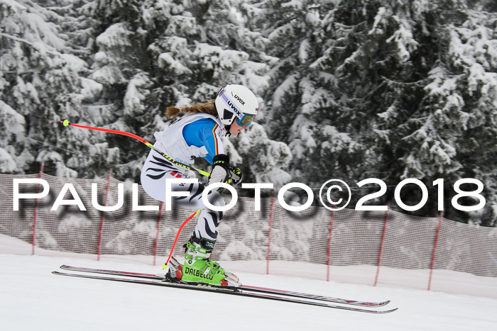 Int. FIS Rennen + NJC Damen, SG, Götschen, 22.02.2018