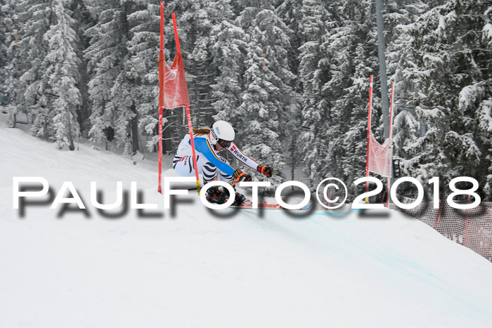 Int. FIS Rennen + NJC Damen, SG, Götschen, 22.02.2018