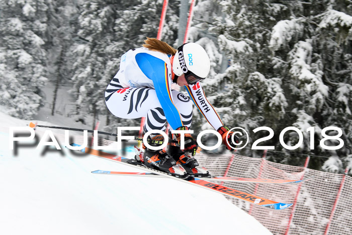 Int. FIS Rennen + NJC Damen, SG, Götschen, 22.02.2018