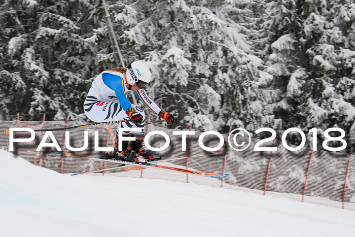 Int. FIS Rennen + NJC Damen, SG, Götschen, 22.02.2018