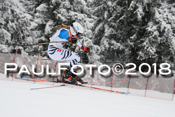 Int. FIS Rennen + NJC Damen, SG, Götschen, 22.02.2018