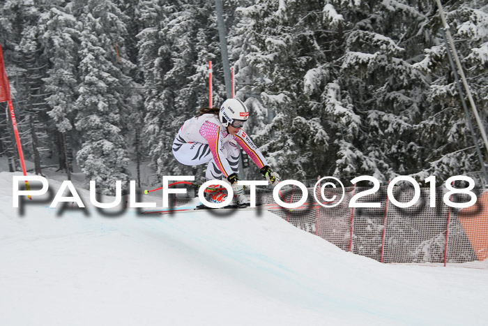 Int. FIS Rennen + NJC Damen, SG, Götschen, 22.02.2018
