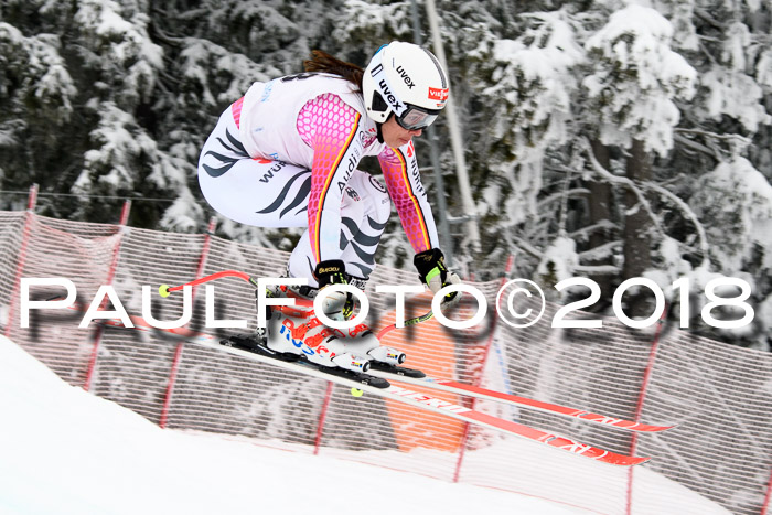 Int. FIS Rennen + NJC Damen, SG, Götschen, 22.02.2018
