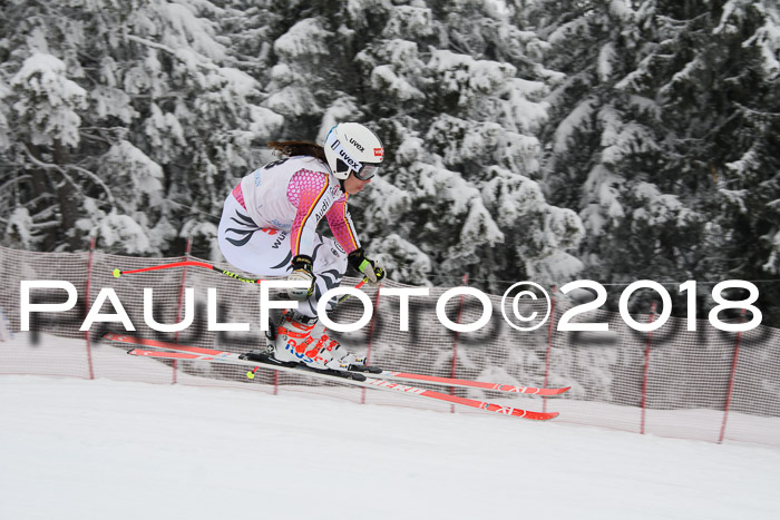 Int. FIS Rennen + NJC Damen, SG, Götschen, 22.02.2018