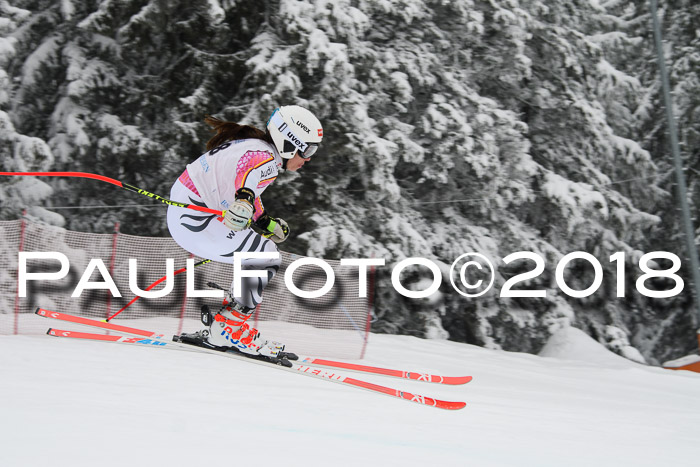 Int. FIS Rennen + NJC Damen, SG, Götschen, 22.02.2018