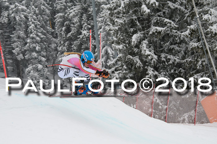 Int. FIS Rennen + NJC Damen, SG, Götschen, 22.02.2018
