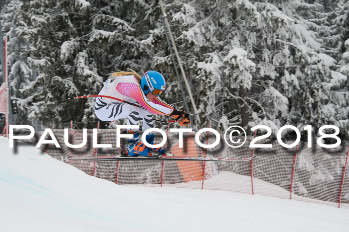 Int. FIS Rennen + NJC Damen, SG, Götschen, 22.02.2018