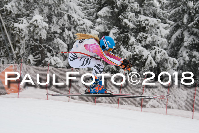 Int. FIS Rennen + NJC Damen, SG, Götschen, 22.02.2018