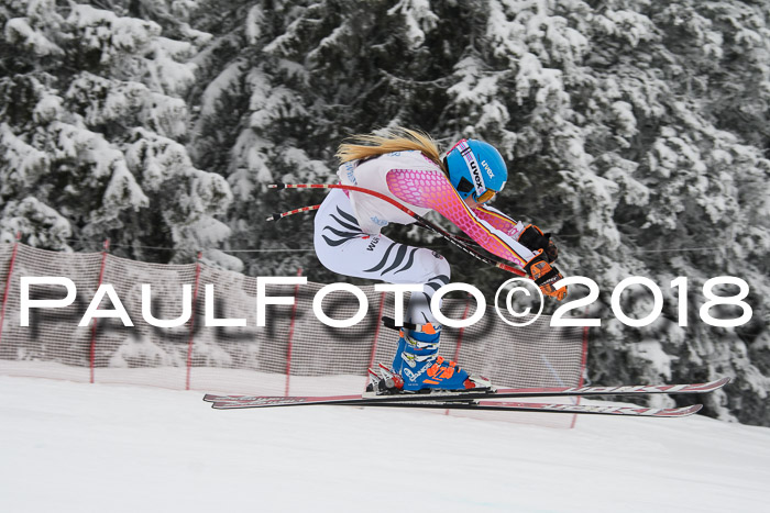 Int. FIS Rennen + NJC Damen, SG, Götschen, 22.02.2018