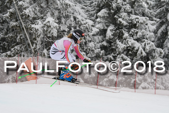 Int. FIS Rennen + NJC Damen, SG, Götschen, 22.02.2018