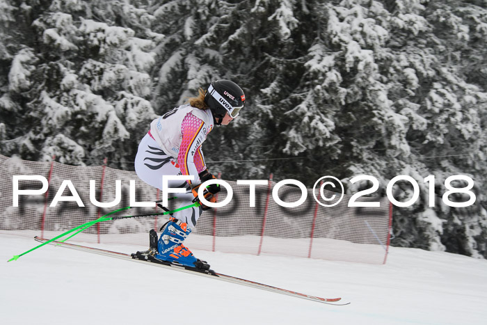 Int. FIS Rennen + NJC Damen, SG, Götschen, 22.02.2018