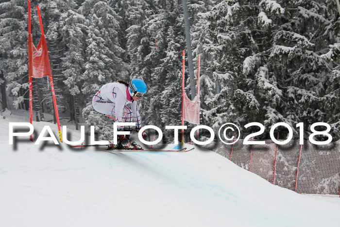 Int. FIS Rennen + NJC Damen, SG, Götschen, 22.02.2018