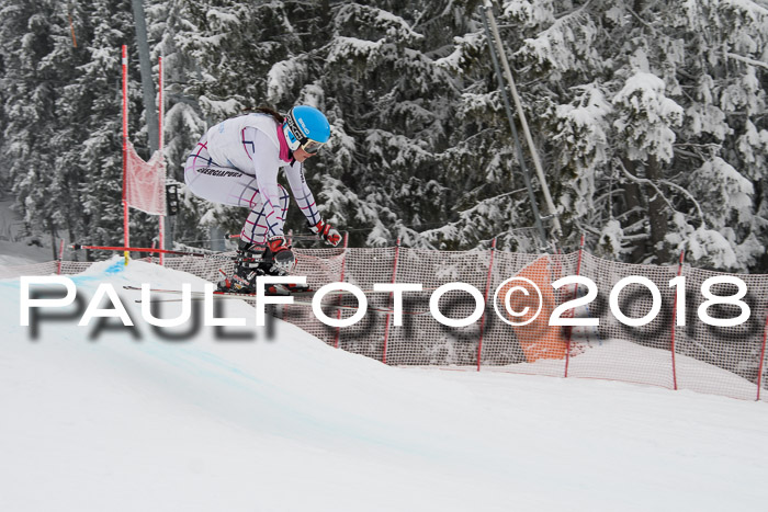 Int. FIS Rennen + NJC Damen, SG, Götschen, 22.02.2018